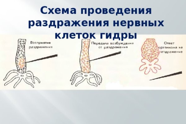 Кракен ссылка стор