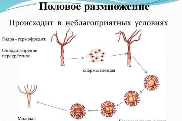Кракен даркнет маркетплейс