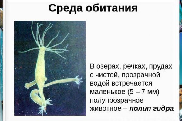 Кракен ссылка тор
