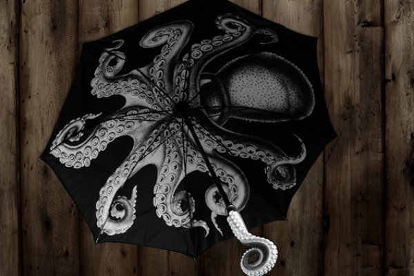 Kraken 13 at com