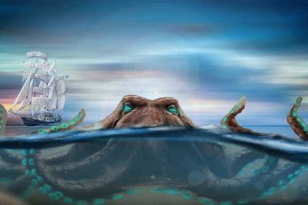 Kraken online
