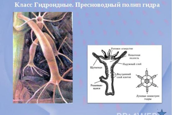 Кракен маркетплейс откуда взялся