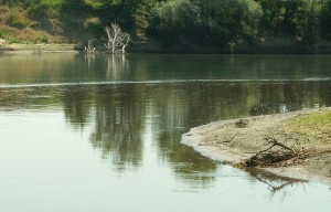 Маркет кракен маркетплейс