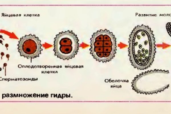 Кракен упал