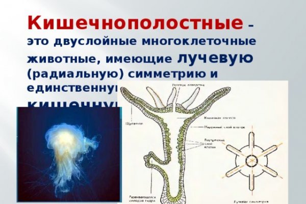 Кракен вход официальная ссылка