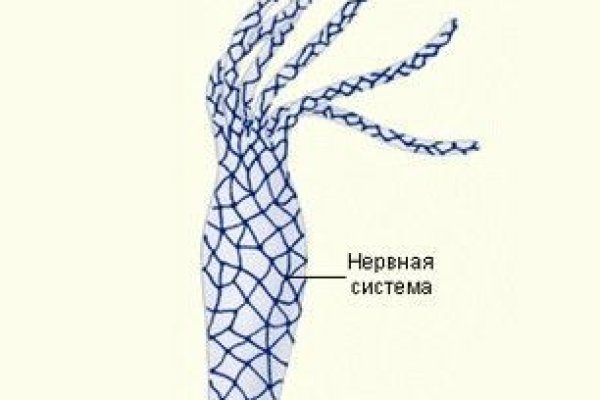 Kraken магазин