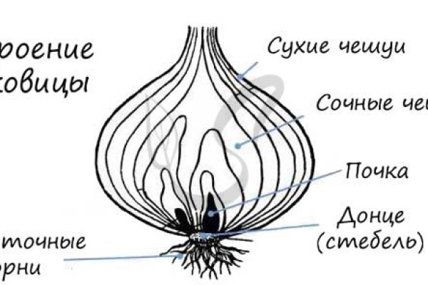 Каталог сайтов даркнет