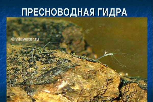Кракен ссылка в тор