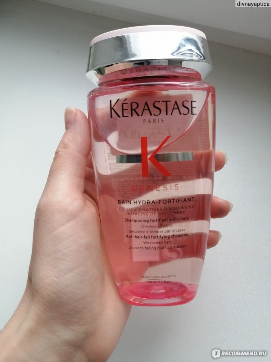 Kraken россия